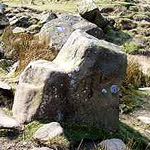 Стул Бронте Стул Бронте