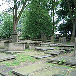 Церковное кладбище Церковное кладбище